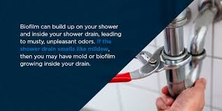 common causes of a smelly shower get