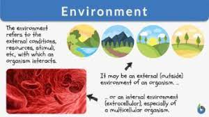 environment definition and exles
