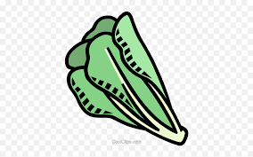 Check out some of our favorite lettuce coloring pages. Romaine Lettuce Royalty Free Vector Lettuce Coloring Page Png Romaine Lettuce Png Free Transparent Png Images Pngaaa Com