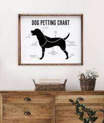 Dog Petting Chart Print On Canvas Funny