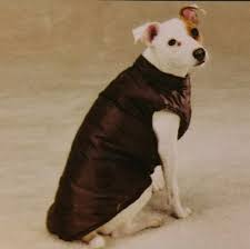 Zack Zoey Dog Puffy Vest Reversible All Sizes Nwt