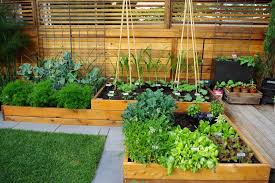 75 Vegetable Garden Landscape Ideas You