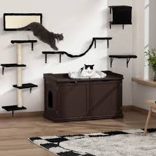 Cat Shelf For