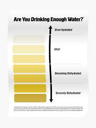 Urine Color Chart Pee Color Chart Poster
