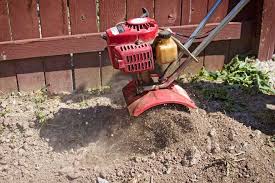 remove rocks from the soil in your yard