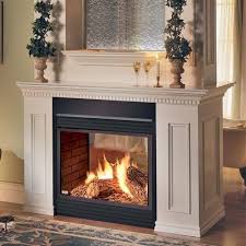 gas fireplace napoleon