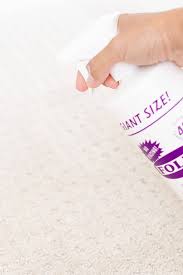 folex instant carpet spot remover