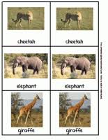 Zoo Animal Safari Chart A To Z Teacher Stuff Printable