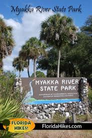 This state park consists of 37,000 acres (150 km2), making it one of the state's largest parks. Myakka River State Park Florida Hikes