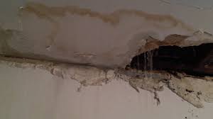 ceiling leakage repair dryproof