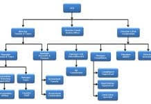 Hierarchy In Bpo Company Hierarchystructure Com