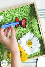A sensory activity is anything that involves the 5 senses (taste, touch, smell, hearing, sight) and also the vestibular or proprioception systems (see. Butterfly Sensory Bin And Butterfly Preschool Activities With Free Printables Natural Beach Living Butterflies Activities Butterfly Life Cycle Activity Butterfly Life Cycle