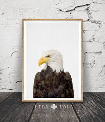 Bald Eagle Print American Eagle Wall