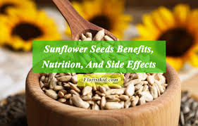 sunflower seeds benefits nutrition