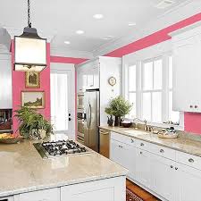 Watermelon Smoothie Paint Color From