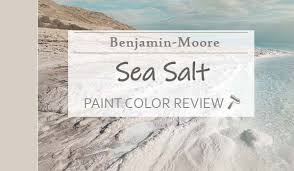 Benjamin Moore Sea Salt Review Why