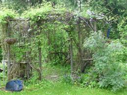 Rustic Garden Structures What Will
