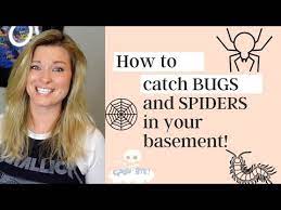 How To Get Rid Of Spiders In Basement