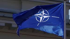 Nato 70 Four Charts That Explain The Alliance Quartz