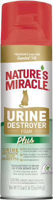 nature s miracle cat urine destroyer