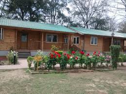 Surrounded by emerald green tea garden one of the famous thing to do in samsing is taking a tour around tea garden. Front View Of Gmvn Tourist Resort In Chilla Picture Of Gmvn Tourist Bungalow Chilla Rajaji National Park Tripadvisor