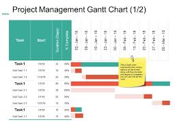 Project Management Gantt Chart Ppt Summary Example