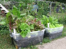 alternative gardening how do you