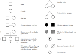 4 2 symbols used in pedigree charts