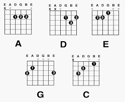 Day 7 The 5 Basic Chord Shapes And The Pentatonic Box