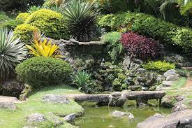 Best Garden Designers Uk