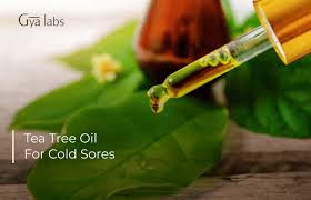tea tree oil for cold sores a powerful