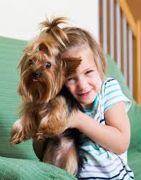 dog training how to love your dog
