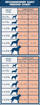 54 Paradigmatic German Shepherd Growth Chart Weight