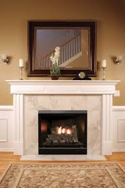 Clean Face Direct Vent Gas Fireplace