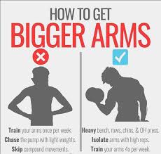 the secret to bigger arms steemit