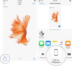 live fish wallpapers in ios 11