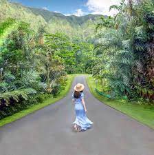 22 free things to do in oahu hawaii