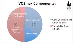 What You Need To Know About Vo2max In Triathlon The