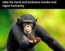 return to monke know your meme