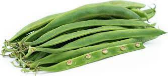 english runner beans information and facts