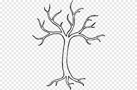 tree drawing branch dogwood tree