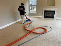 carpet cleaning in catonsville md