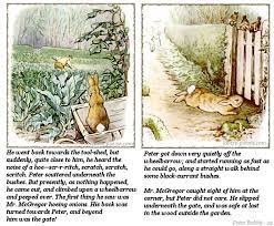 Tale Of Peter Rabbit By Beatrix Potter