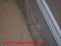 black lines on edge of carpet carpet