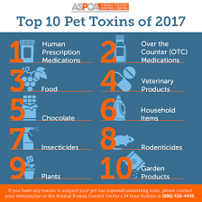 Announcing The Top Pet Toxins Of 2017 Aspca