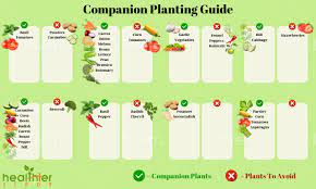 ultimate guide to companion planting