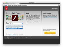 Adobe flash player is freeware software for using content created on the adobe flash platform, including viewing multimedia, executing rich internet applications, and streaming video and audio. Do You Need To Install An Adobe S Ppapi Flash Plug In Macspro