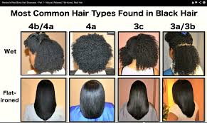 4a Vs 4c Hair Black Hair Chart Type All Hair Types Chart
