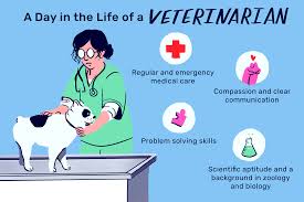 what does a veterinarian do