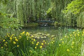 claude monet s gardens at giverny our